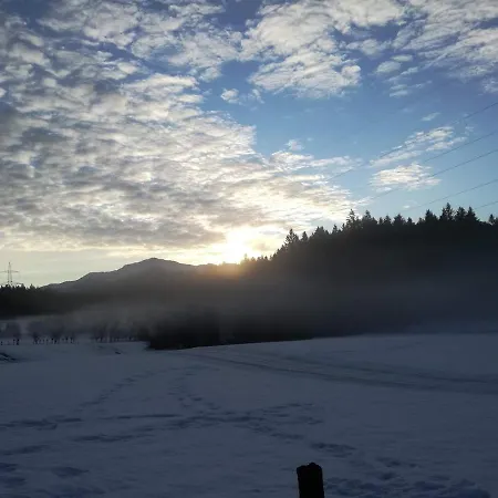 公寓 Ferienwohnung Waldfrieden 阿布萨姆