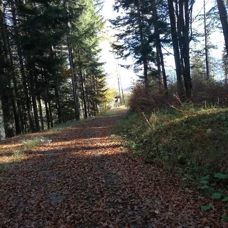 Daire Ferienwohnung Waldfrieden Absam