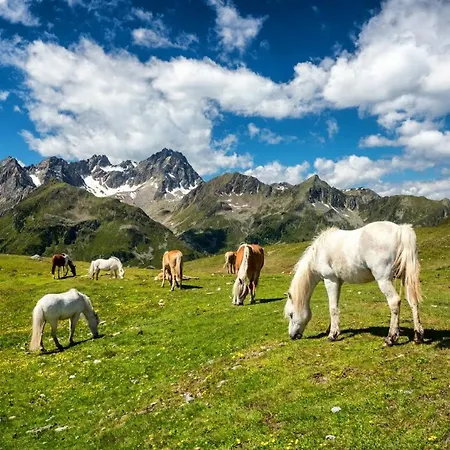Ferienwohnung Waldfrieden 公寓 阿布萨姆