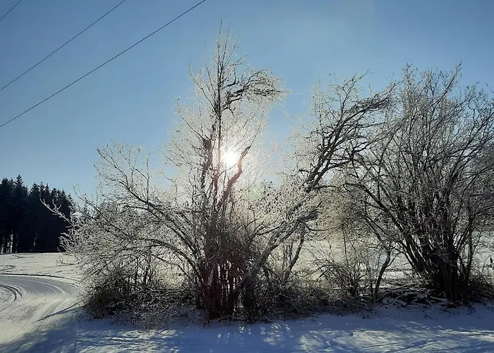 Ferienwohnung Waldfrieden