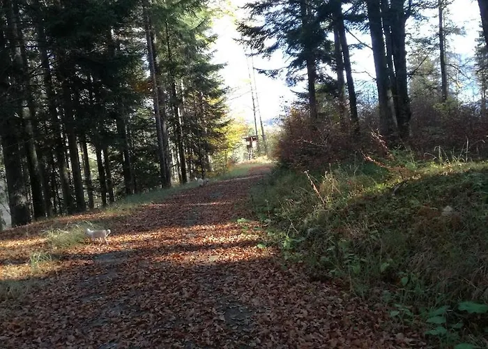 Appartement Ferienwohnung Waldfrieden Absam