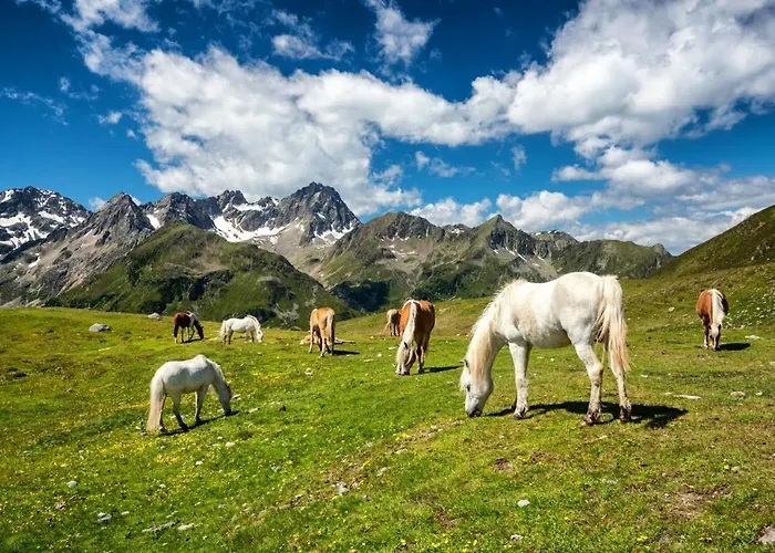 Ferienwohnung Waldfrieden Appartement Absam