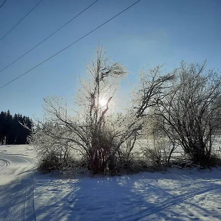 Ferienwohnung Waldfrieden