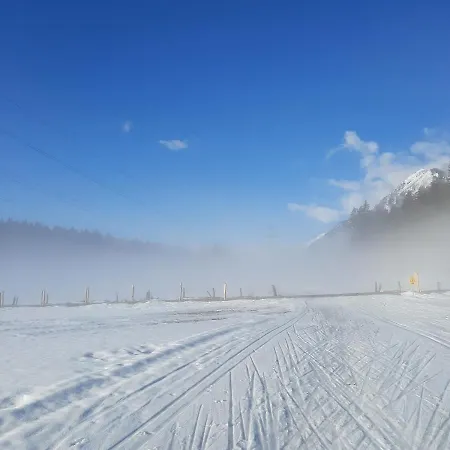 Ferienwohnung Waldfrieden *